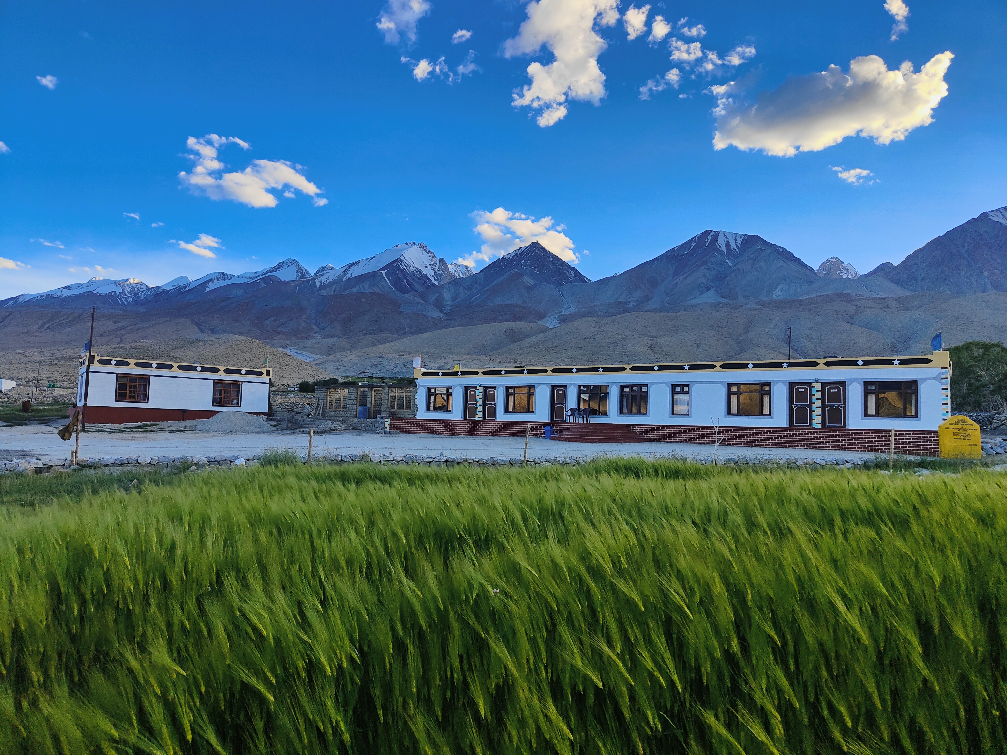 Viewpoint Zamta Homestay! Pangong Tso Lake